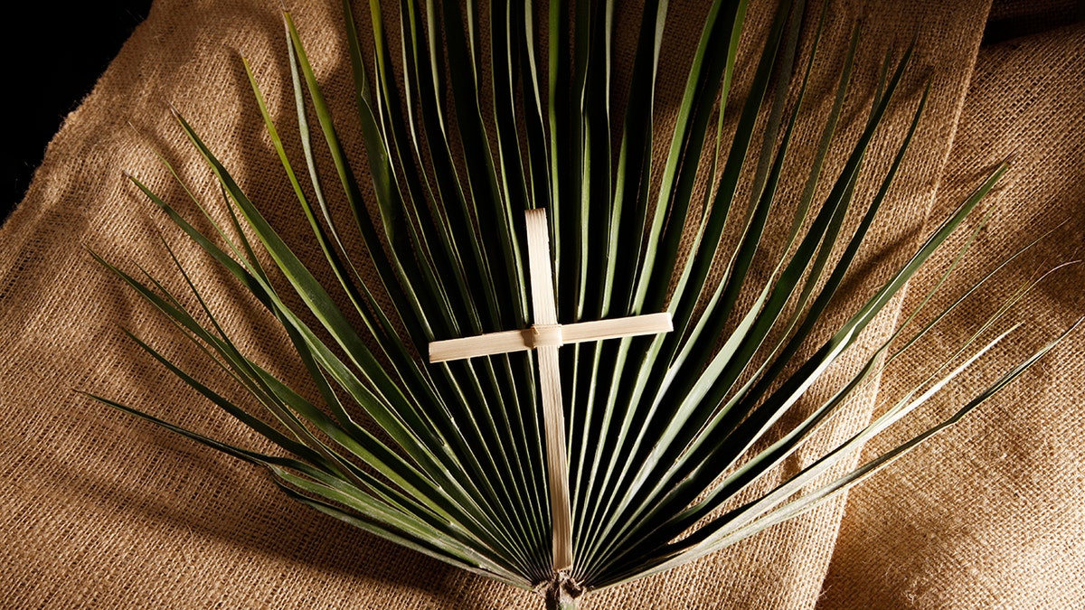 palm cross leaves fronds