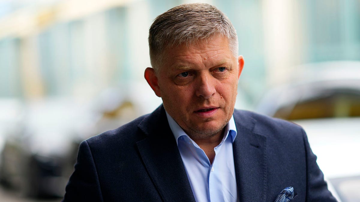 Slovakia Prime Minister Robert Fico