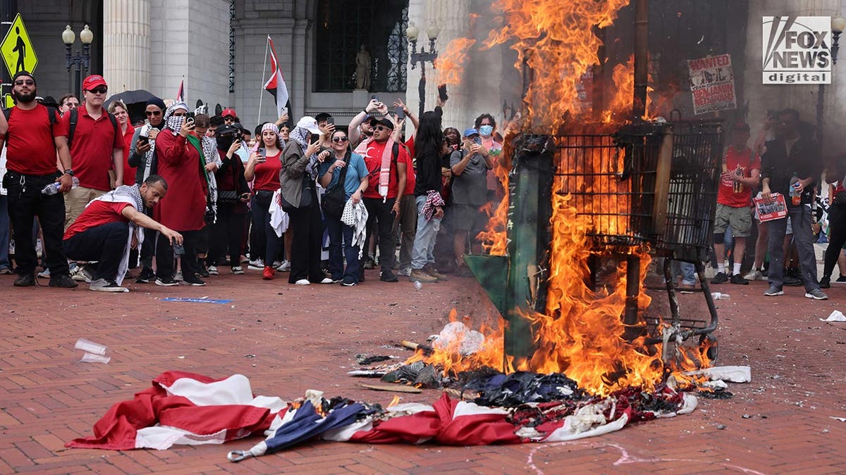 anti-Israel protesters