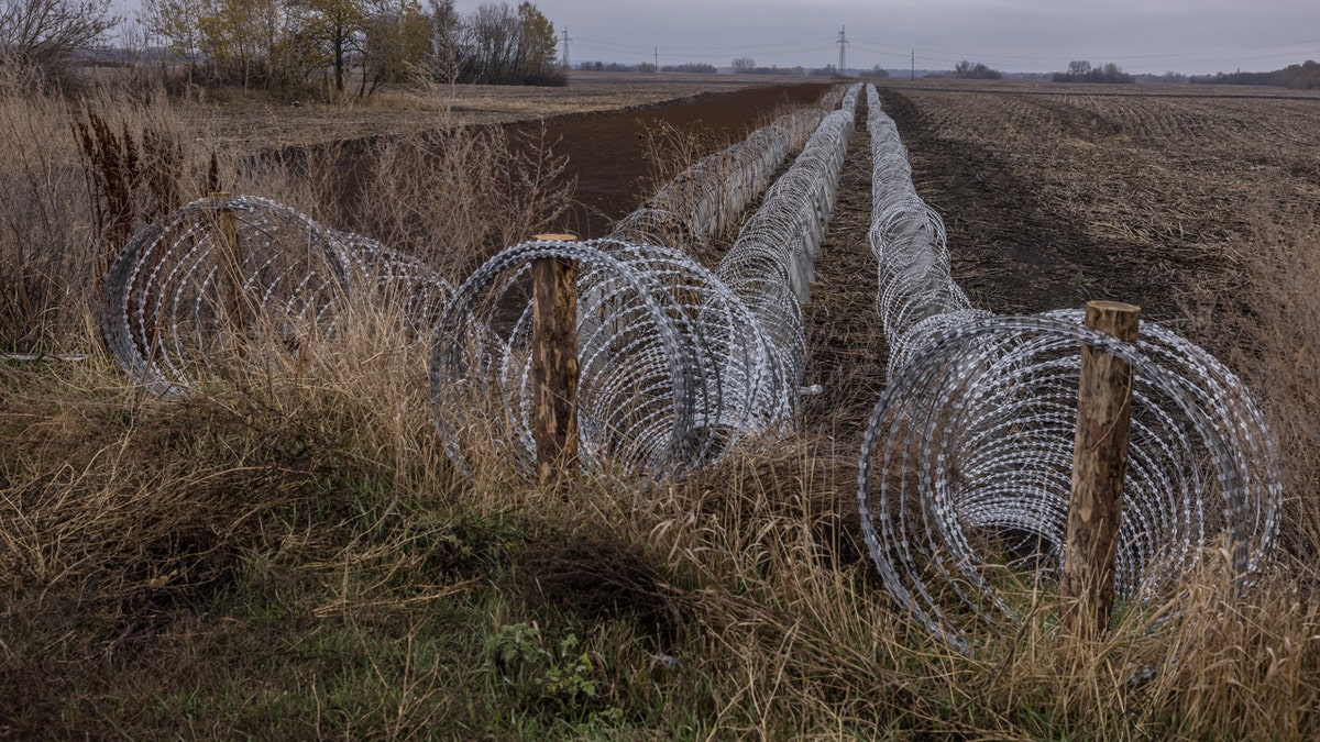 Barbed wire