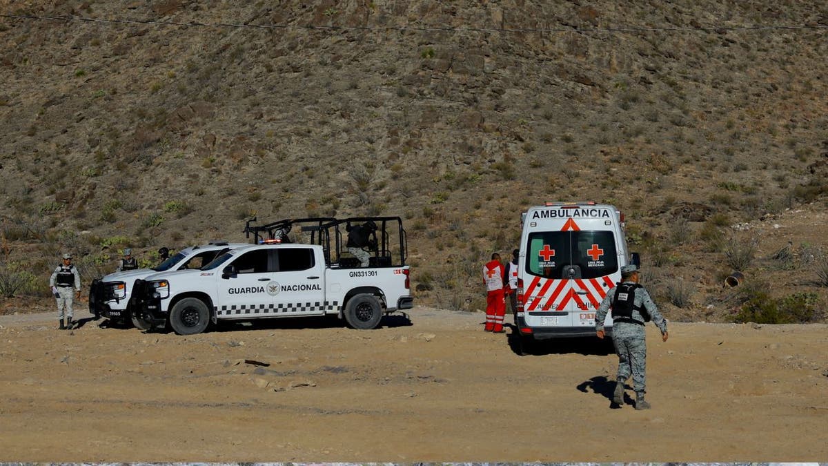 Mexico National Guard