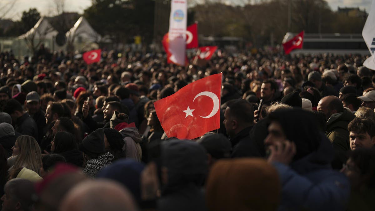 Anti-Erdogan protests