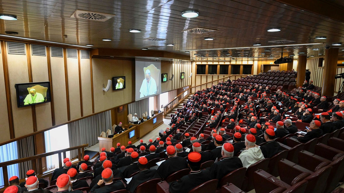 Pope Leo XIV meets the College of Cardinals
