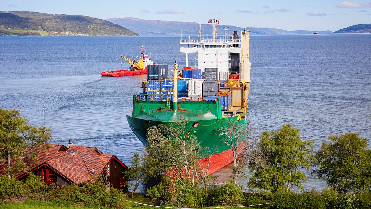 NCL container ship ran aground in man's garden