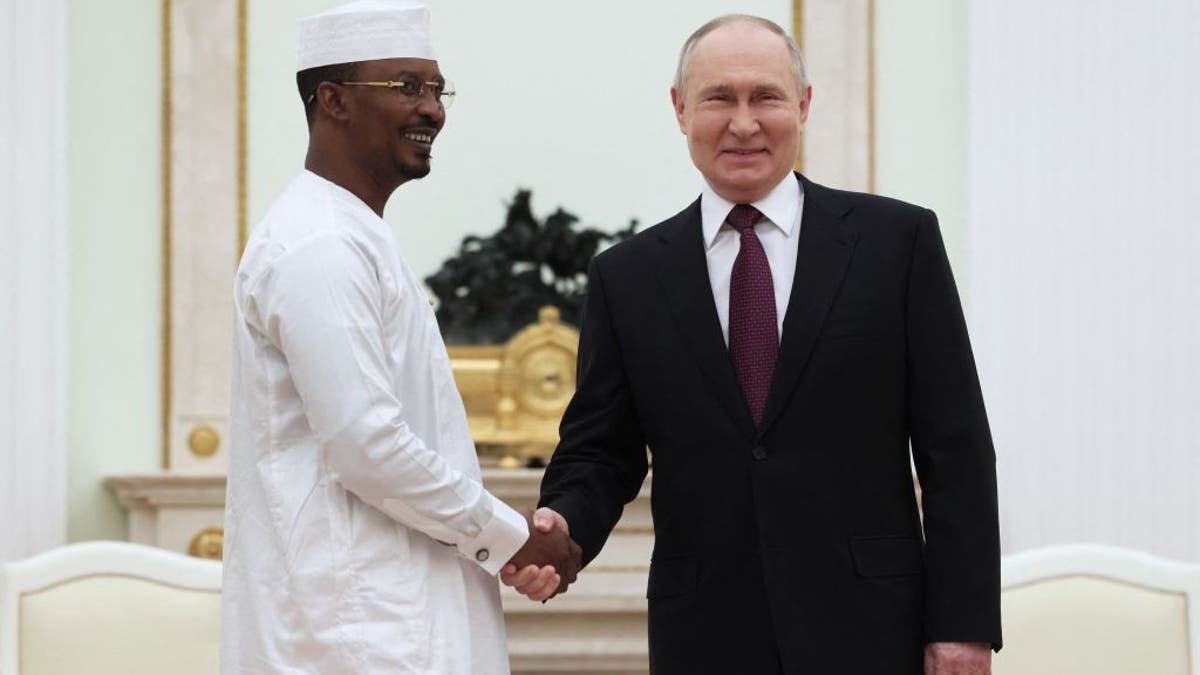 Putin African Diplomacy