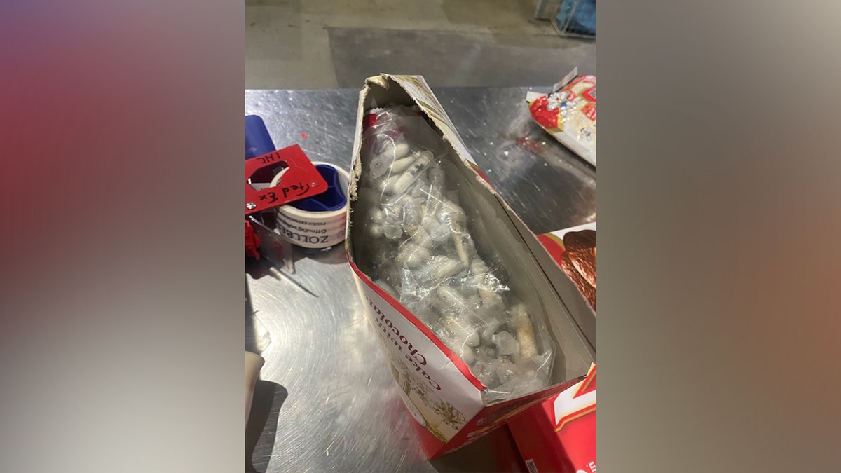 German customs officers recently made a skin-crawling discovery when they found around 1,500 young tarantulas concealed in a shipment of spongecakes.