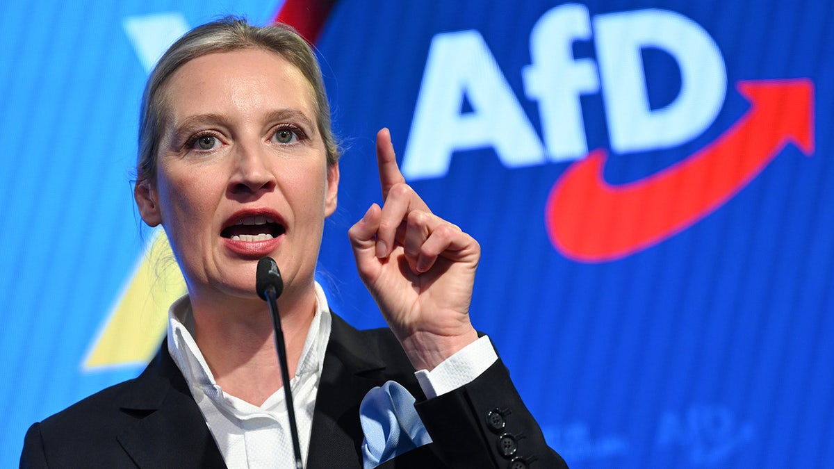 Alice Weidel speaking