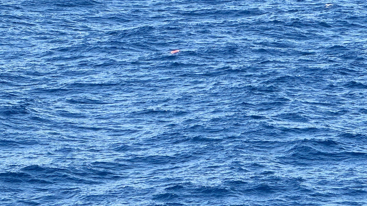 orange life ring floating in the blue sea