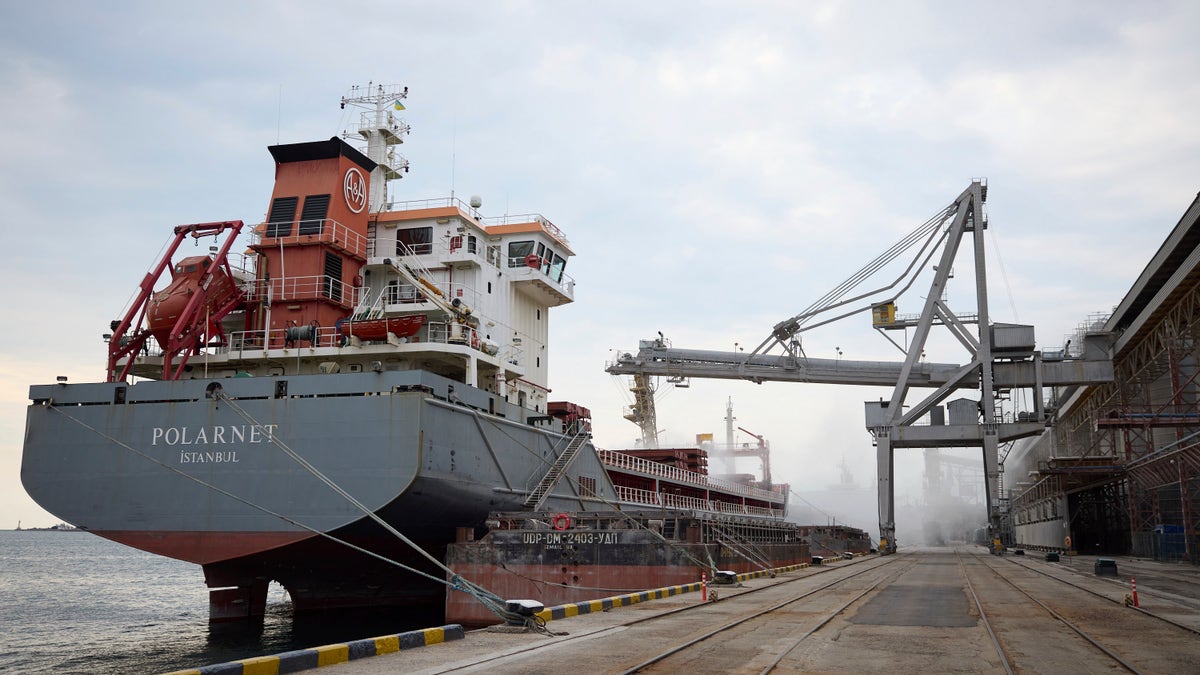 A cargo ship is loaded with Ukrainian grain amid a food crisis