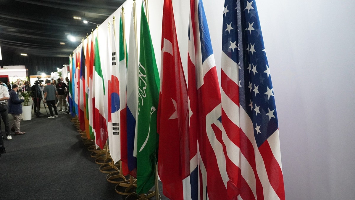 The U.S. and other flags at the G20 media center in South Africa.
