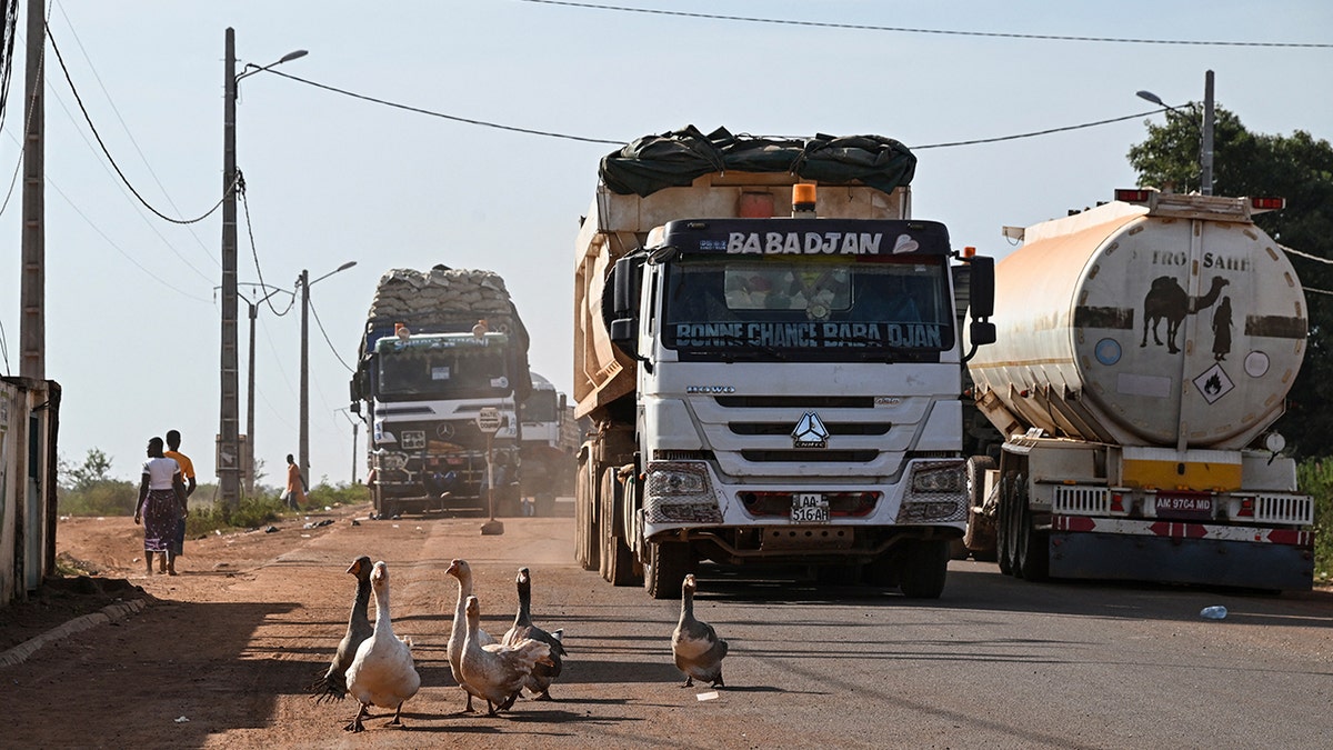 Geese walk in the road as trucks cross the border between the Ivory Coast and Mali in the village of Nigoun, near Tengrela, on Oct. 31, 2025. In northern Ivory Coast, truck drivers prepare to head back to neighboring Mali, aboard their tanker trucks loaded with fuel and anxiety. One acronym strikes fear into the hearts of all the truck drivers: JNIM, the name of the jihadist group affiliated with al Qaeda that decreed two months ago that no more tanker trucks would be allowed to enter Mali from a neighboring country.