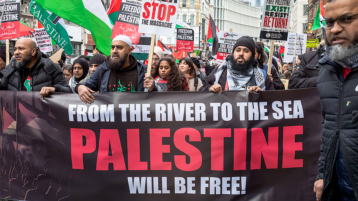 Anti-Israel protesters hold protest signs