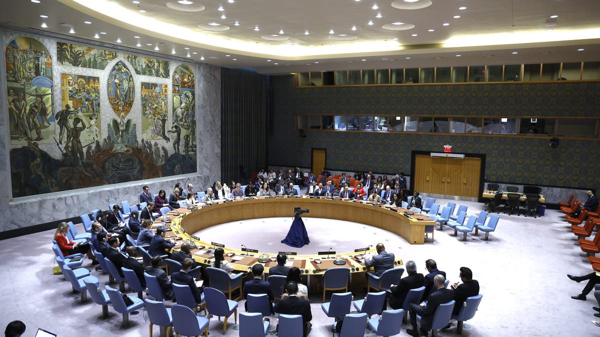 UN Security Council meeting. (Photo by John Lamparski/Getty Images)