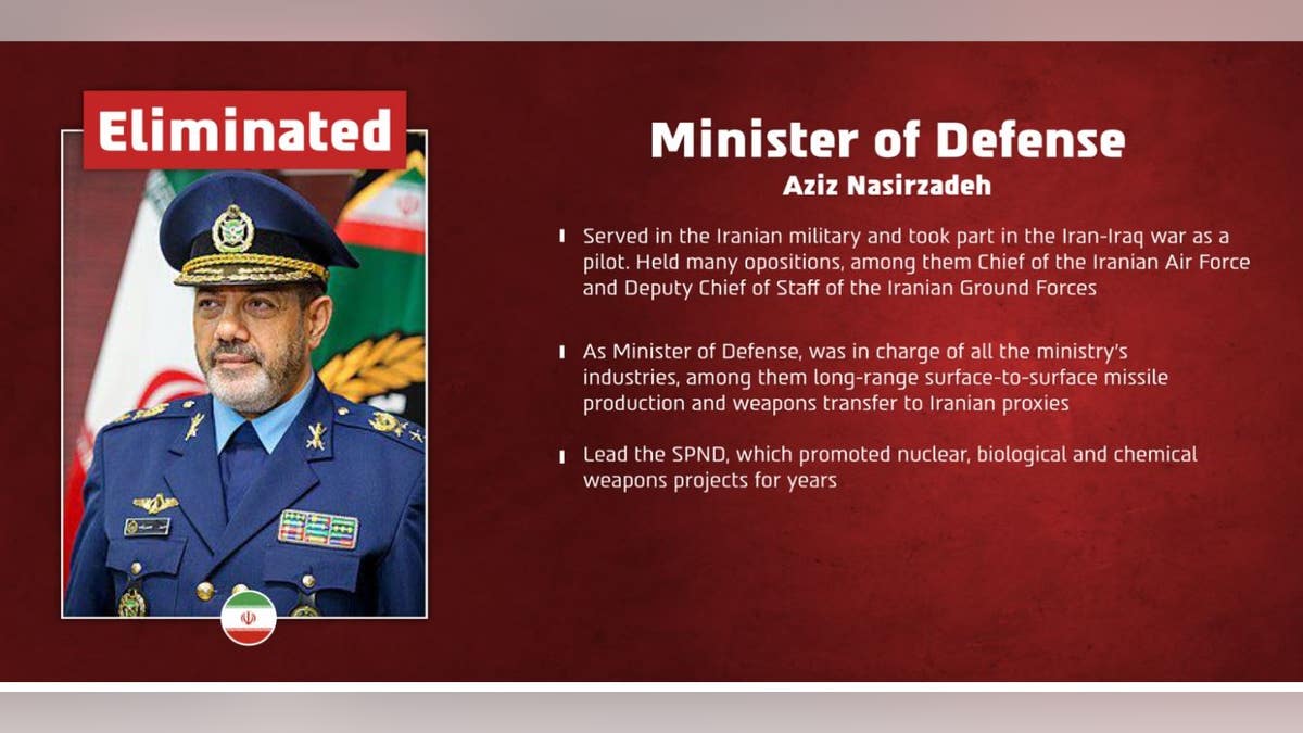 Iran's defense minister