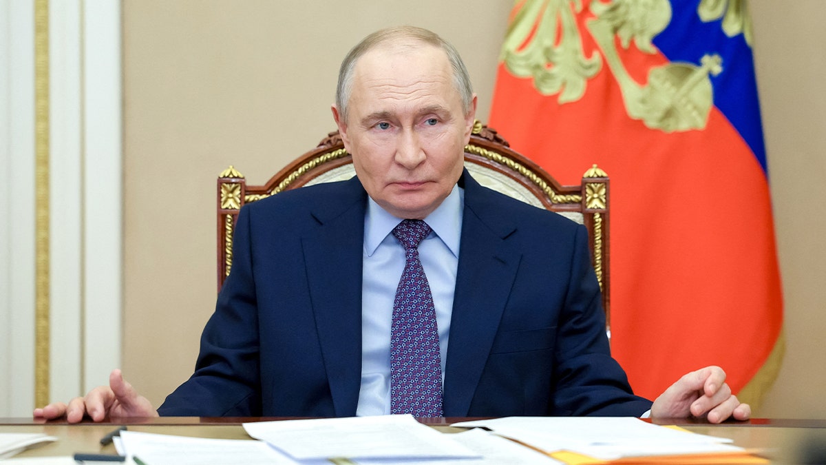 Russian President Vladimir Putin speaks during a virtual government meeting from Moscow.