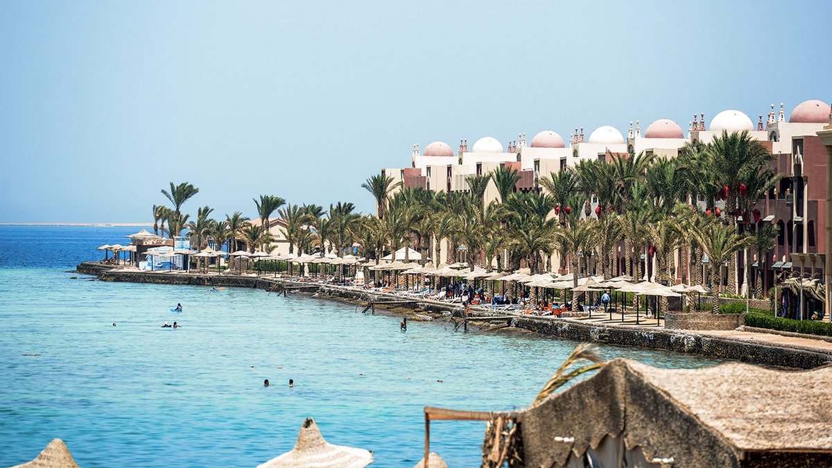 resort with palm trees next to beach
