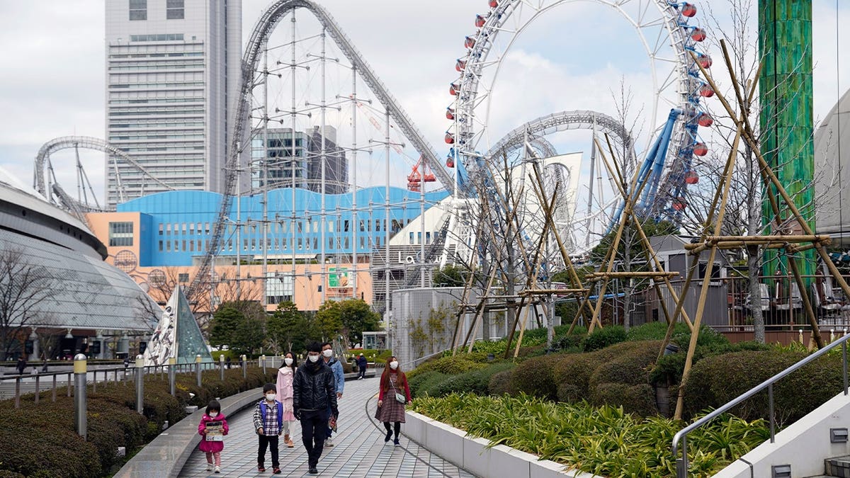 amusement park rides seen behind visitors
