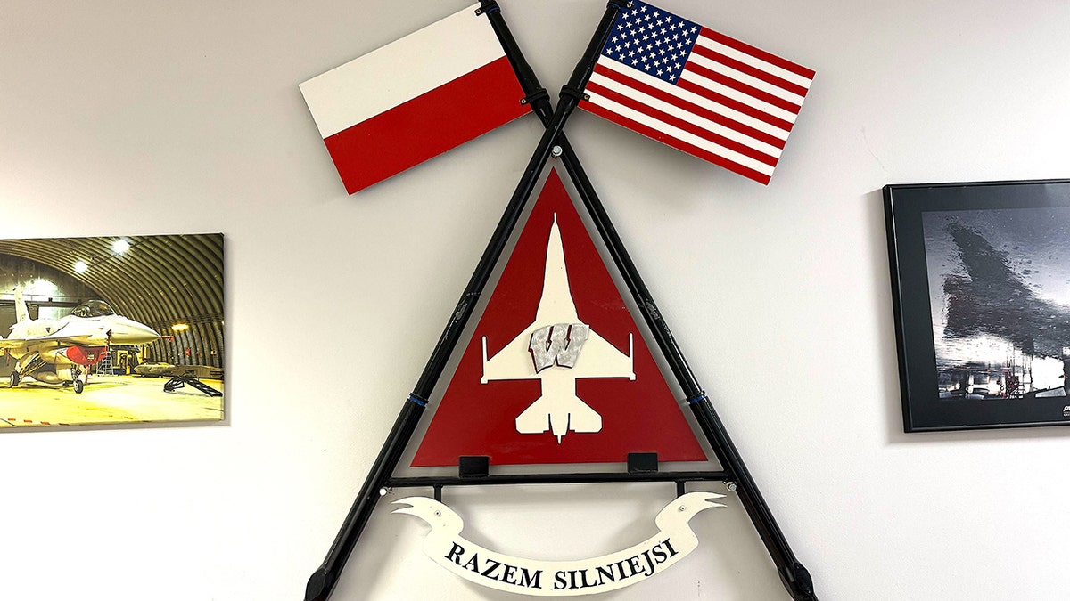 US-Poland insignia