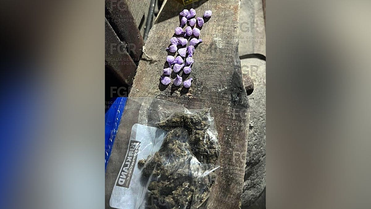 Small purple-wrapped packages and a bag containing suspected marijuana displayed on a table.