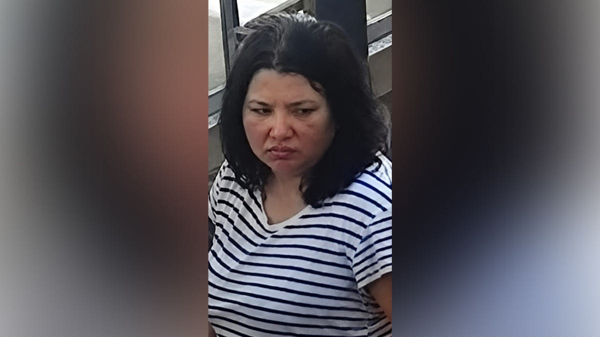 Surveillance photo of Anastasiaa Berezovska