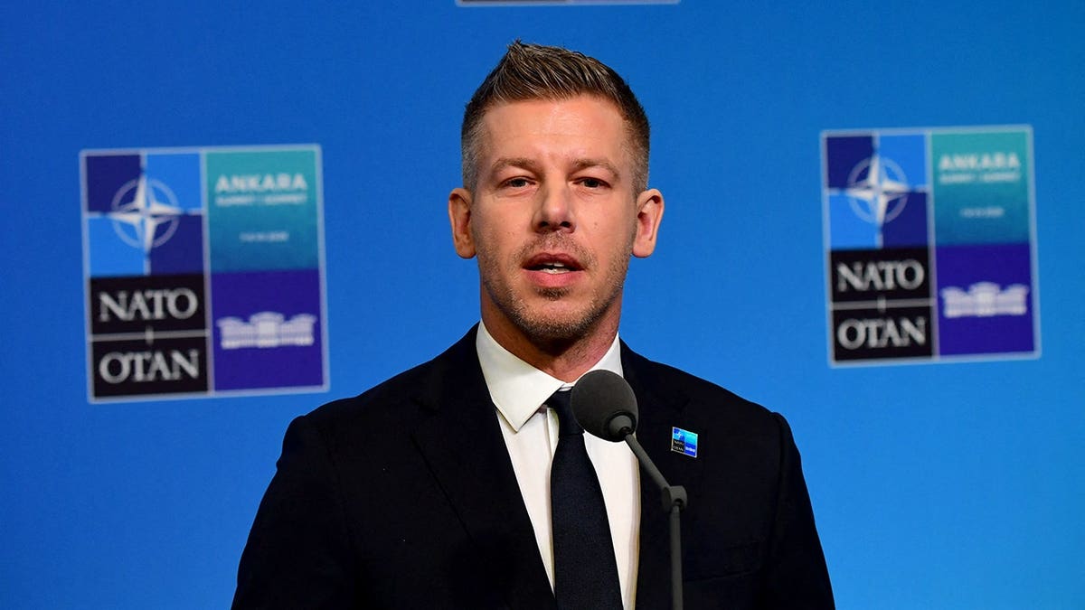 Hungary's Prime Minister Peter Magyar