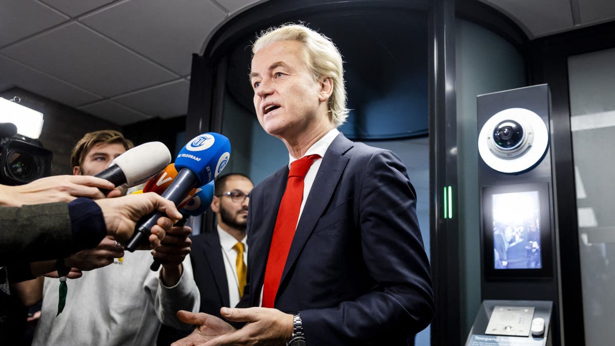 European Parliament elections