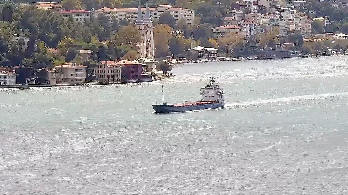 General cargo vessel ALFA WATAN